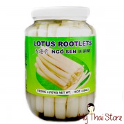 Lotus Rootlets - CARAVELLE Lotus Rootlets - CARAVELLE
